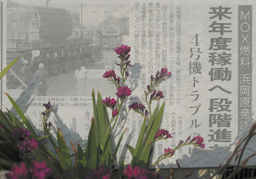 newspaper flowers